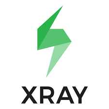 Xray icon